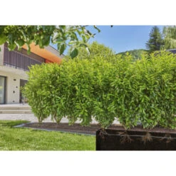 Gardena Micro Drip Startset Struik/haag 25 Meter 8 Gardena Micro Drip Startset Struik/haag 25 Meter -Tuingereedschap 123 1055