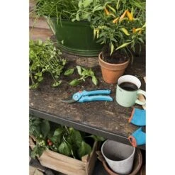 Gardena Snoeischaar Classic Standaard -Tuingereedschap 123 469