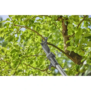 Gardena 18V Telescopische Takkenschaar 2,5m (P4A) (zonder Accu) 5 Gardena 18V Telescopische Takkenschaar 2,5m (P4A) (zonder Accu) - Afbeelding 3